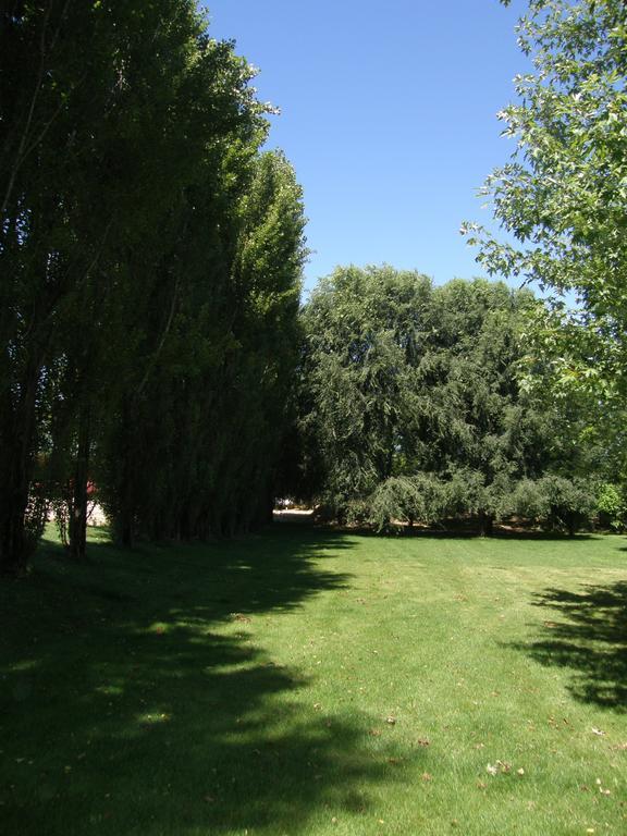 Agriturismo Greppi Crescentino 외부 사진