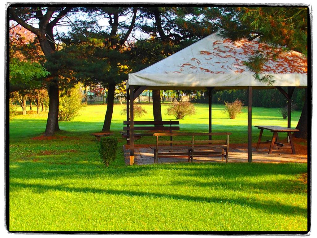 Agriturismo Greppi Crescentino 외부 사진